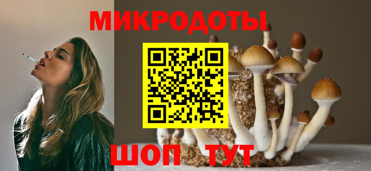 Галлюциногенные грибы GOLDEN TEACHER Шатура
